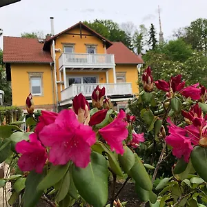 Casa Casimir Mit Elbblick, Balkon Und Grossen Garten Apartment